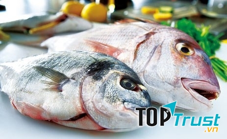 Mật cá tươi có thể gây tử vong