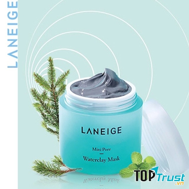 Laneige Mini Pore Waterclay Mask giúp bạn giải quyết những vấn đề về lỗ chân lông to