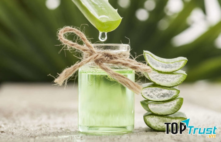 Nha đam rất nhiều thành phần dưỡng chất