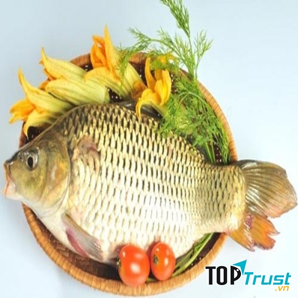 Mật ong kị với cá chép