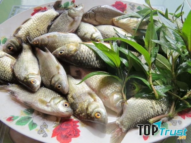 Mật ong kị với cá diếc