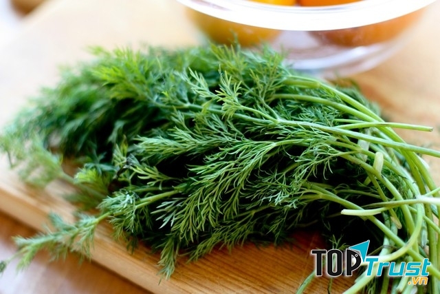 Mật ong kị với cây thì là