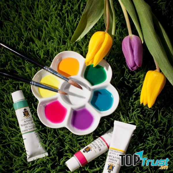Màu nước hạng họa sĩ Turner Artists Watercolour