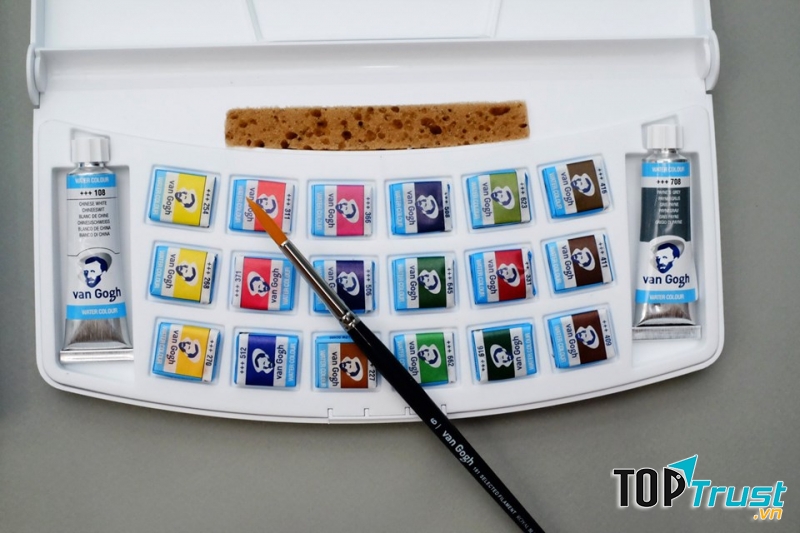 Màu nước hạng student - Màu Van Gogh