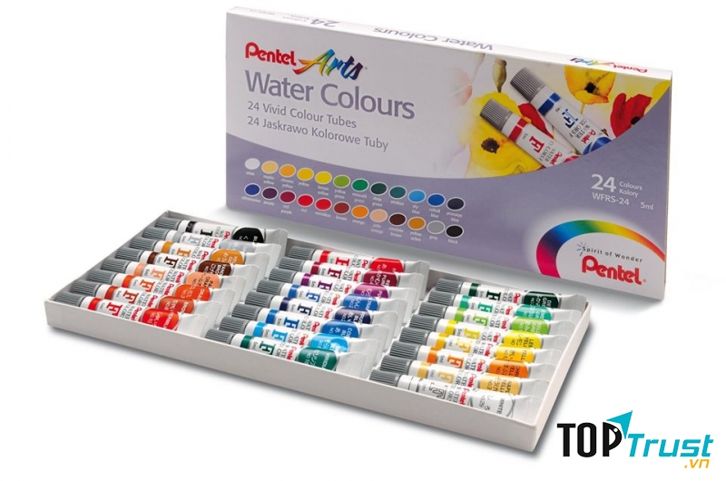 Màu nước Pentel - hạng Student dành cho sinh viên, học sinh