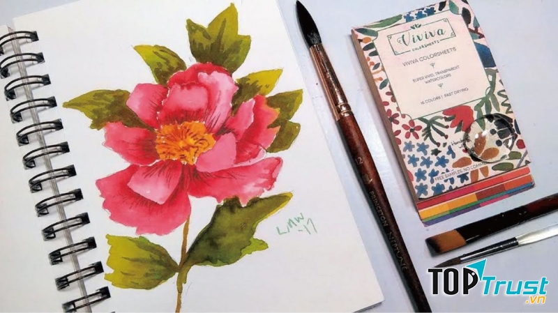 Màu nước Viviva