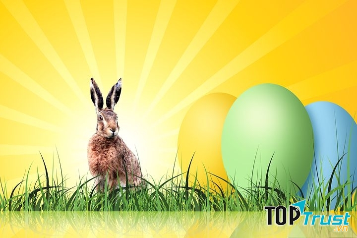 Màu vàng là màu của sự thành công và sự giàu sang