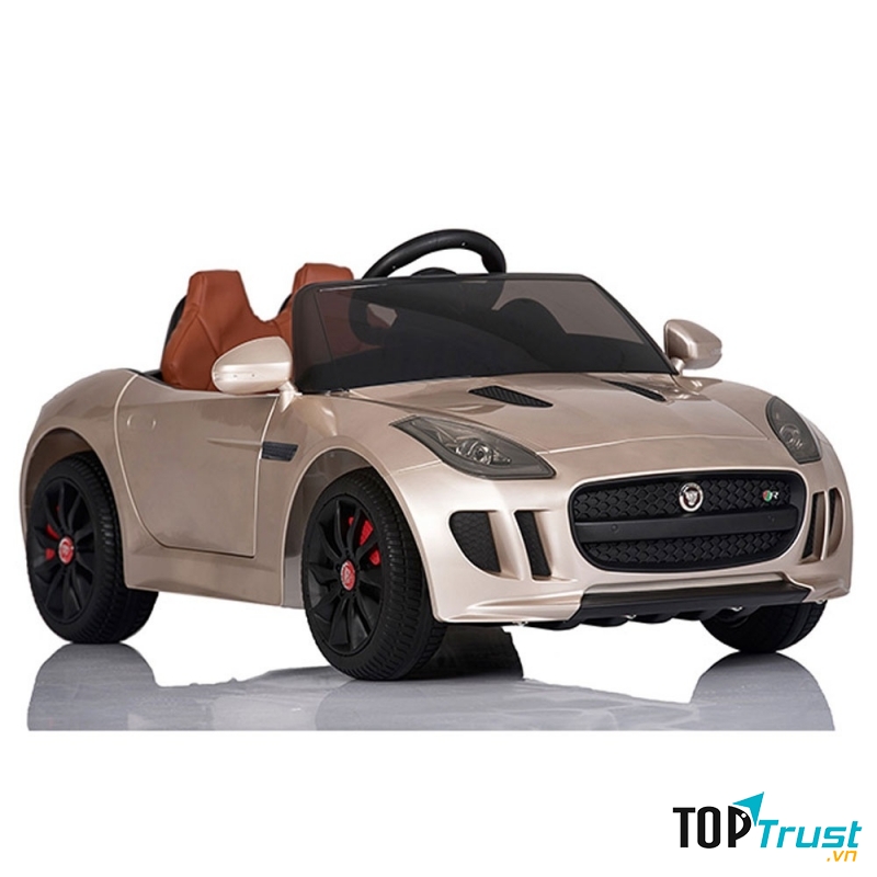 Jaguar mã DMD218: 2,8 triệu đồng