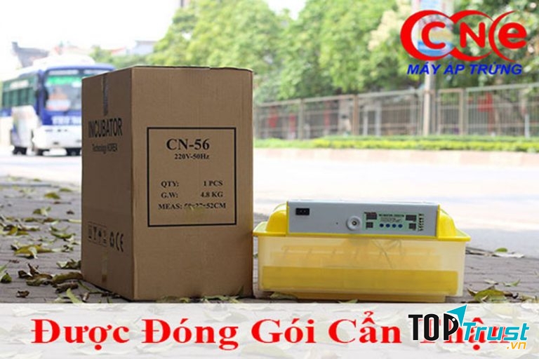 Máy ấp trứng CNE