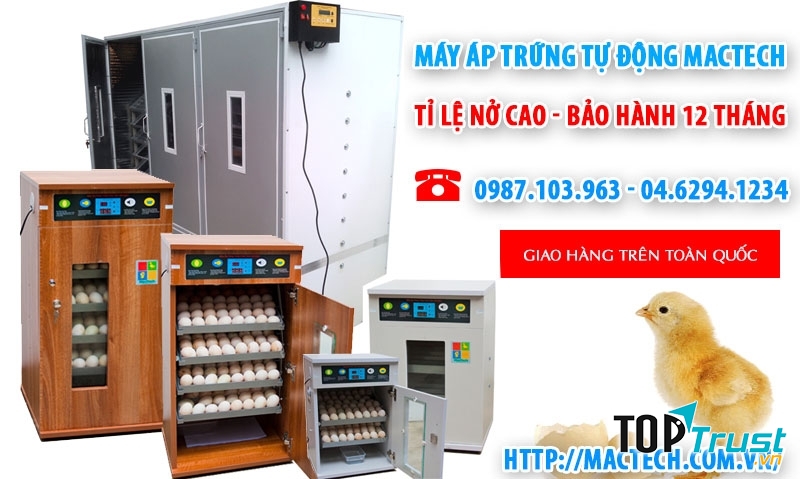 Máy ấp trứng Mactech