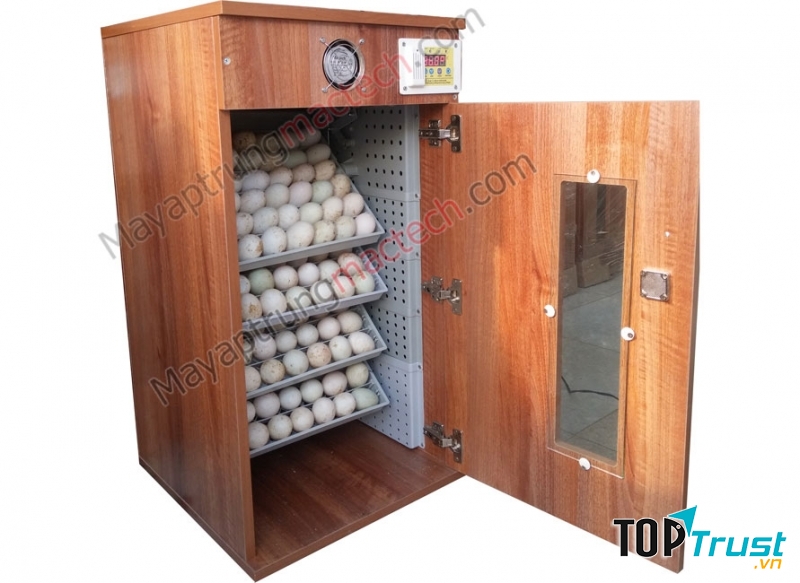 Máy ấp trứng Mactech