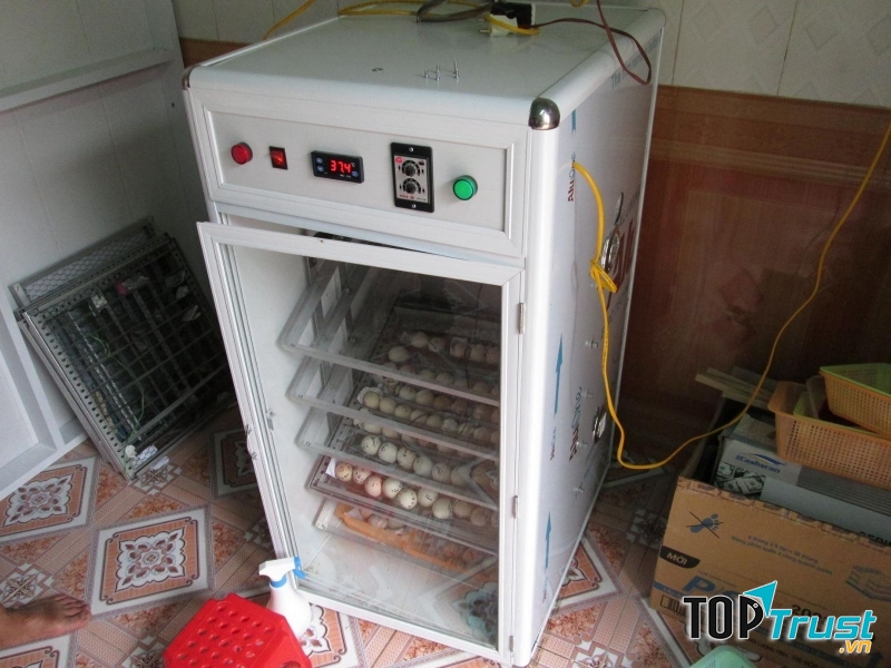 Máy Ấp Trứng Miền Bắc