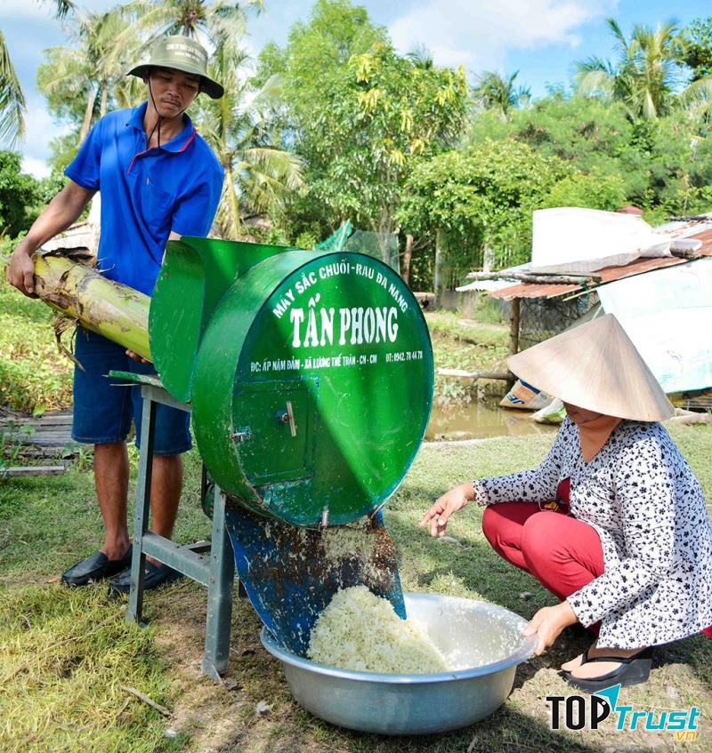 Máy cắt chuối đa năng
