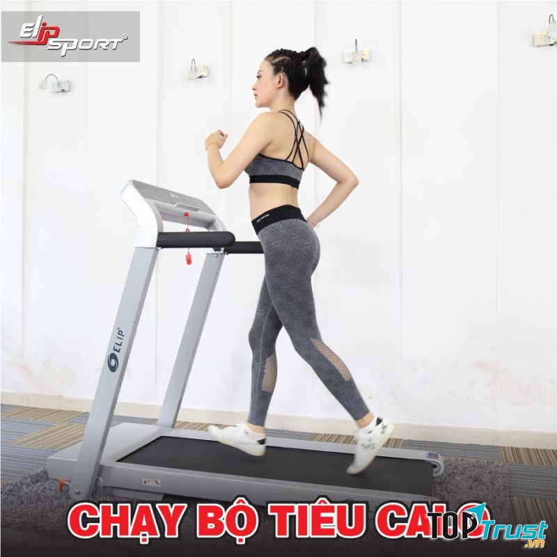 Máy chạy bộ Elipsport