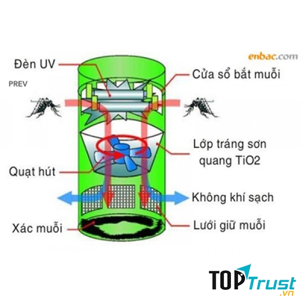 Cơ chế hoạt động của máy đuổi bắt muỗi Beeshob Mostrap