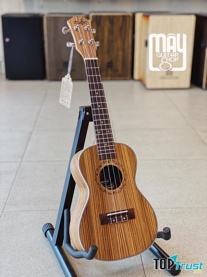 Mây Guitar