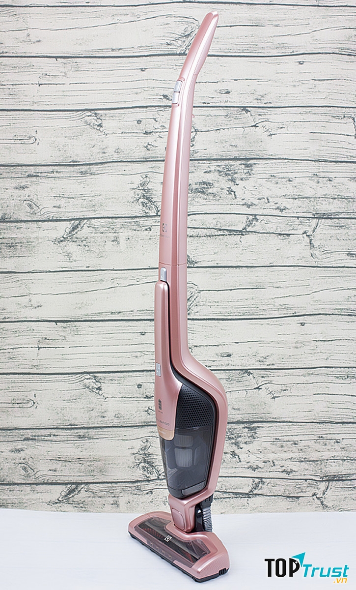 Máy hút bụi Electrolux ZB3314AK