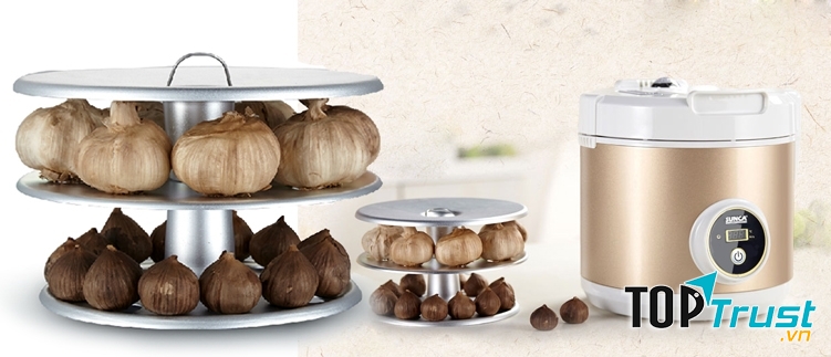 Máy làm tỏi đen Sunca SF-G100