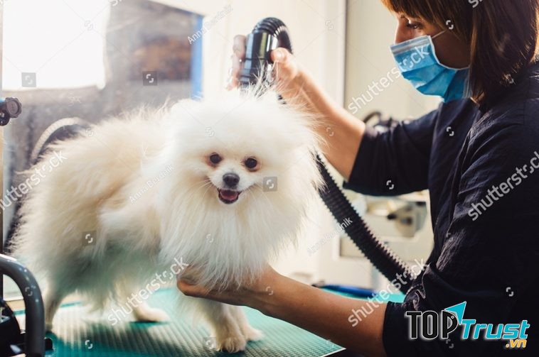 Đây là mấy sấy lông chuyên dụng cho chó mèo. Máy sẽ giúp lông của vật cưng chúng ta mau khô 1 cách nhanh chóng.