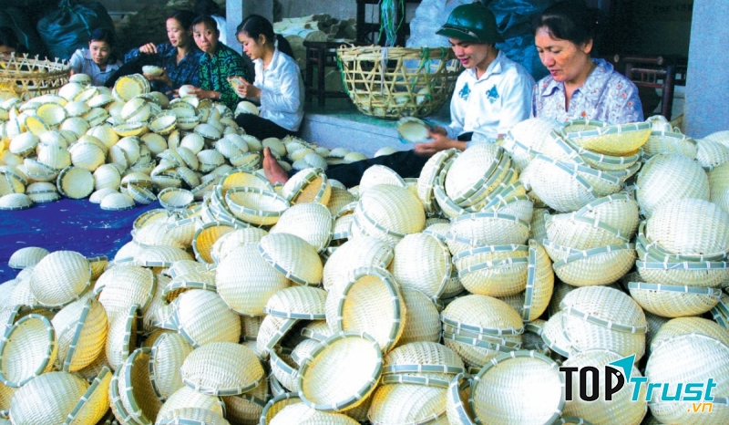 Mây tre đan Tăng Tiến