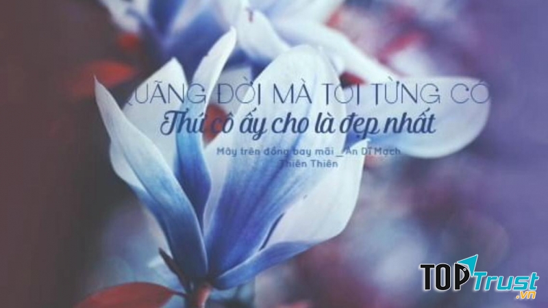 Mây trên đồng bay mãi - An Dĩ Mạch