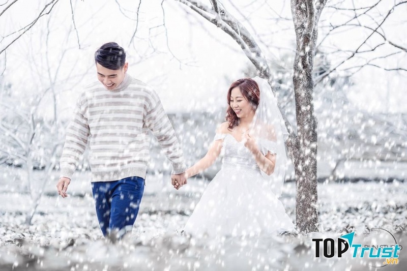 May Wedding Studio