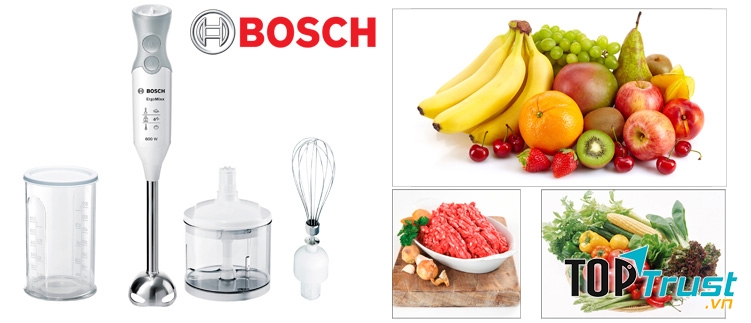 Máy xay cầm tay Bosch MSM66150