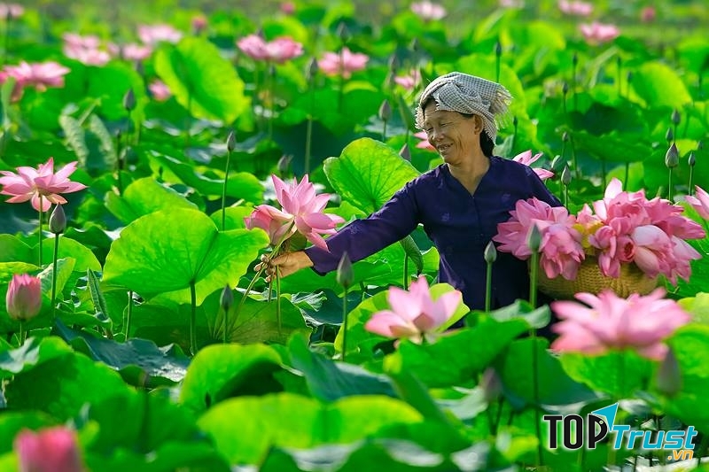 Nụ cười của mẹ làm ấm áp lòng con.