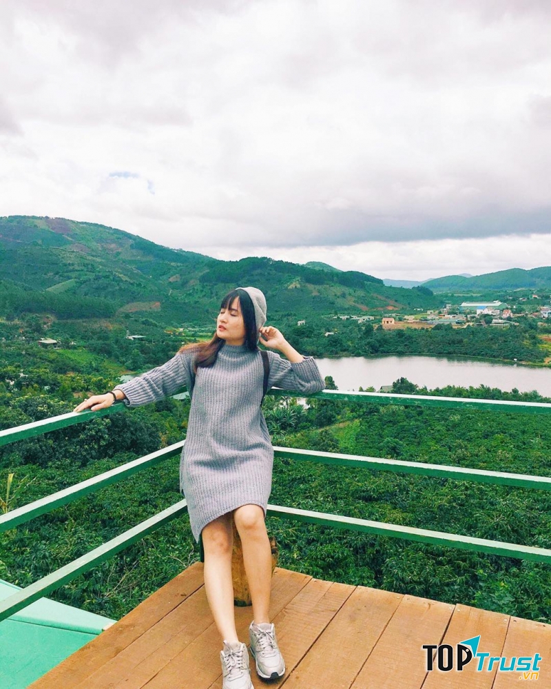 Quán nằm trên một con đồi không cao lắm, nhưng đủ để mọi người có thể nhìn trọn cả một vườn cà phê xanh ngắt bao la