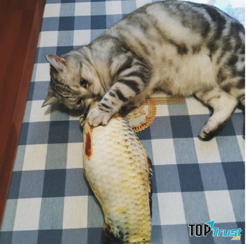 Bạn đừng tưởng là cá thật - chỉ là đồ chơi thôi