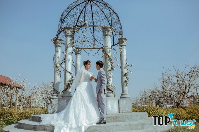 Meli Studio - Ảnh cưới Kim Động