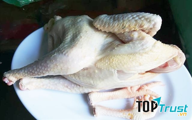 Mẹo nhổ lông gà chuẩn vừa sạch vừa nhanh