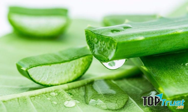 Nha đam là một giải pháp hữu hiệu trong việc cải thiện triệu chứng