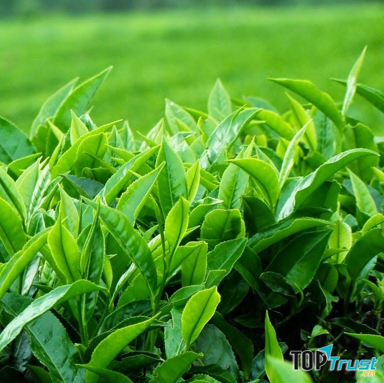 Mẹo vặt chữa hăm cho bé