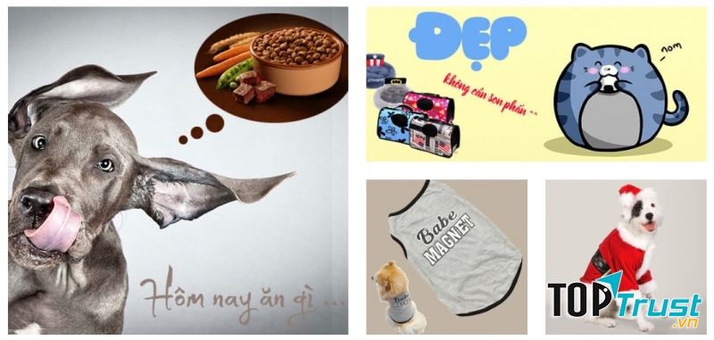 Meowwoof.vn - Nơi mua thức ăn chó mèo uy tín cho bạn.