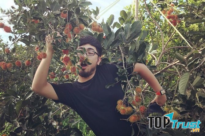 Thưởng thức trái cây tại miệt vườn