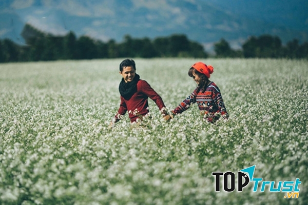 Hoa cải trắng ngập trời vùng cao