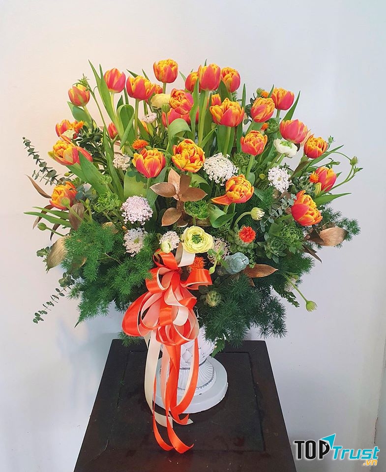 Tulip - chỉ có thể là yêu