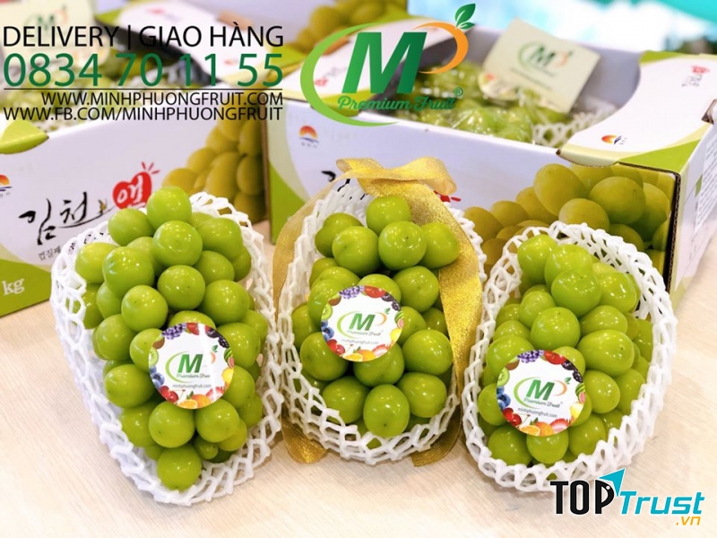 Minh Phuong Fruit tự hào mang lại sản phẩm nhập khẩu an toàn