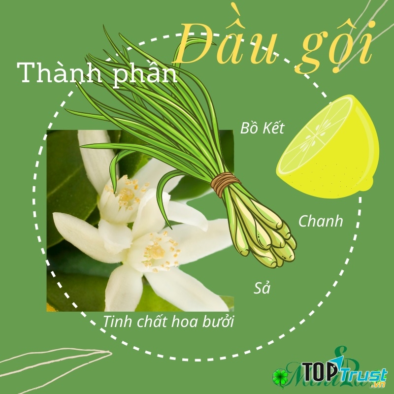 Mini Spa Cần Thơ