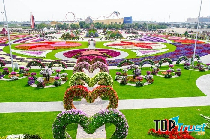 Miracle Garden – vườn hoa tự nhiên lớn nhất thế giới