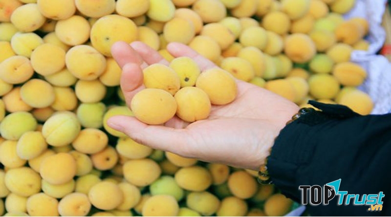 Hình ảnh Mơ Hương Tích