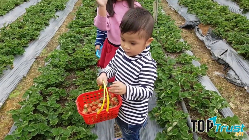 Vì vậy, du lịch là cơ hội giúp trẻ tiếp xúc nhiều hơn với thế giới trực quan.