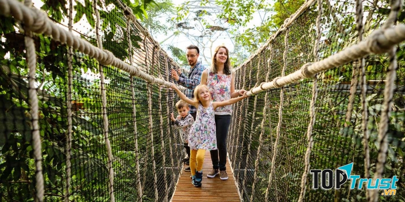 Đi đến những nơi mới hoặc tham gia hoạt động mới giúp phát triển các phần não bộ liên quan đến mọi thứ của trẻ, từ quản lý căng thẳng đến nâng cao khả năng học tập.