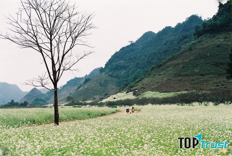 Thiên nhiên của Mộc Châu