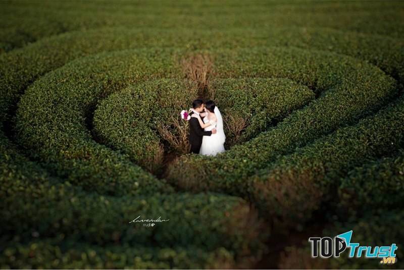 Chụp ảnh cưới ở đồi chè trái tim Mộc Châu​
