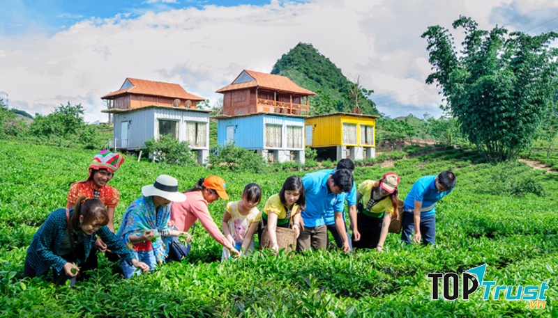 Mộc Châu Arena Village
