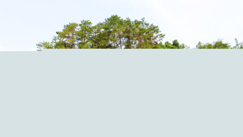 Mộc Châu Eco Garden resort