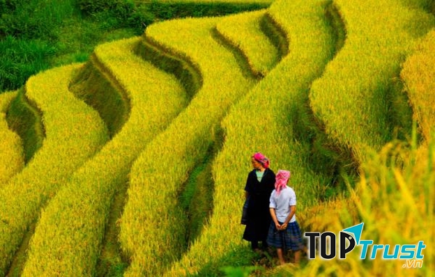 Những bậc thang từng bậc như những nấc thang lên thiên đường