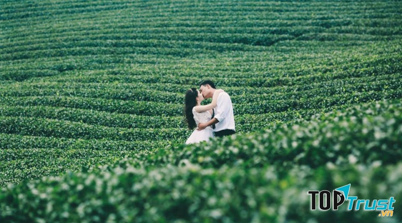 Đồi chè xanh mướt ở Mộc Châu là một địa điểm chụp ảnh cưới lãng mạn